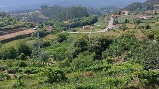 Terreno para venda em Sever do Vouga, Portugal — 110 000 €