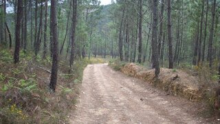Land for sale in Tábua, Portugal — €14,700