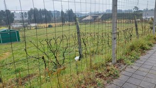Land for sale in Valongo, Portugal — €260,000