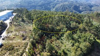Land for sale in Sever do Vouga, Portugal — €22,500