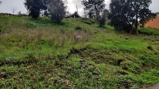 Terreno de 1250 m² em Coimbra