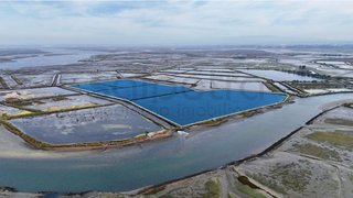 Terreno de 51 000 m² em Aveiro