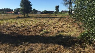 Land for sale in Vagos, Portugal — €40,000