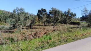 Land for sale in Mealhada, Portugal — €27,000