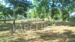 Land for sale in Anadia, Portugal — €60,000