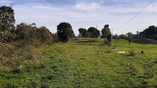 Terreno de 4300 m² em Coimbra