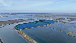 Terreno de 75 000 m² em Aveiro