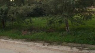 Land for sale in Montemor-o-Velho, Portugal — €100,000