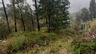 Terreno em Coimbra · 1820 m² · 5750 €
