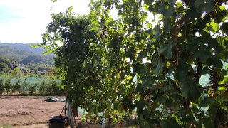 Land for sale in Vieira do Minho, Portugal — €60,000