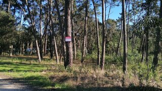 Land for sale in Ílhavo, Portugal — €40,000