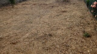 Land for sale in Mira, Portugal — €42,000