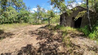 Land for sale in Montemor-o-Velho, Portugal — €95,000