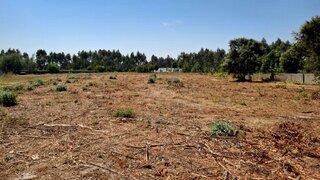 Terreno em Mira