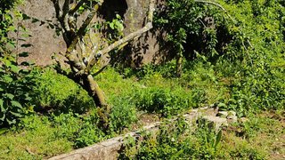Land for sale in Vila Nova de Gaia, Portugal — €57,500
