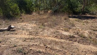 Land for sale in Oliveira do Bairro, Portugal — €50,000