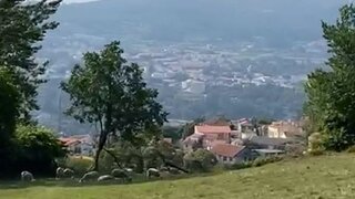 Land for sale in Baião, Portugal — €9,900