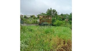 Land for sale in Oliveira de Azeméis, Portugal — €22,500