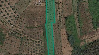 Land for sale in Penacova, Portugal — €15,500