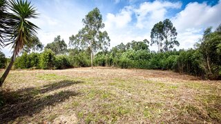 Land for sale in Santa Maria da Feira, Portugal — €64,500