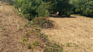 Land for sale in Anadia, Portugal — €160,000