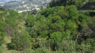 Land for sale in Marco de Canaveses, Portugal — €21,000