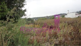 Terreno de 2400 m² em Coimbra