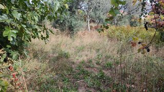 Terreno em Baião · 488 m² · 17 500 €