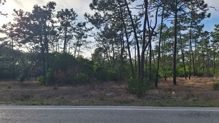 Terreno em Vagos · 5000 m² · 42 500 €