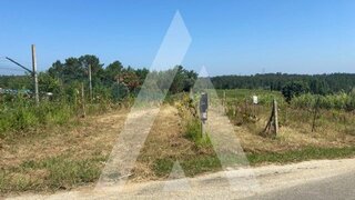 Land for sale in Anadia, Portugal — €33,000