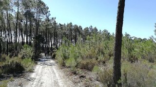 Land for sale in Cantanhede, Portugal — €15,000