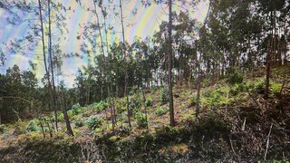 Terreno em Coimbra