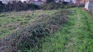 Land for sale in Santa Maria da Feira, Portugal — €23,500