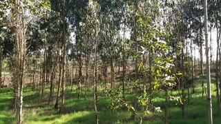 Land for sale in Fafe, Portugal — €75,000