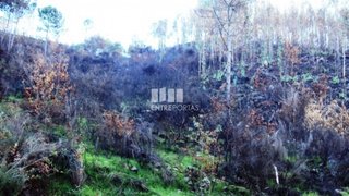 Land for sale in Marco de Canaveses, Portugal — €42,000