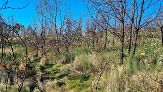 Land for sale in Amarante, Portugal — €25,000