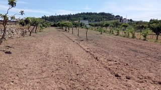 Terreno de 2500 m² em Coimbra