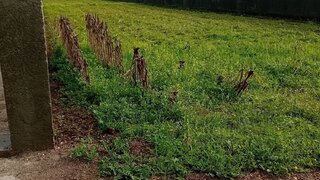 Land for sale in Ílhavo, Portugal — €31,500
