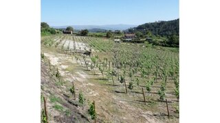 Land for sale in Baião, Portugal — €80,000
