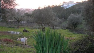 Terreno em Coimbra · 1369 m² · 75 000 €
