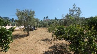 Terreno para venda em Mealhada, Portugal — 30 000 €
