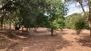 Land for sale in Águeda, Portugal — €80,000