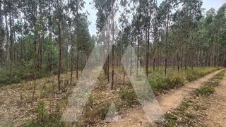 Land for sale in Oliveira de Azeméis, Portugal — €90,000