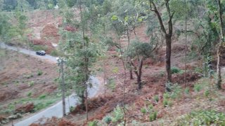 Land for sale in Sever do Vouga, Portugal — €140,000