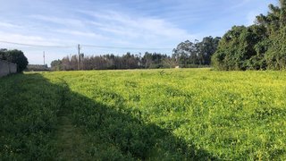 Land for sale in Ílhavo, Portugal — €110,000