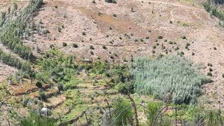 Land for sale in Oliveira do Hospital, Portugal — €30,000