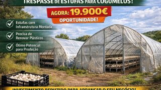 Terreno em Gondomar