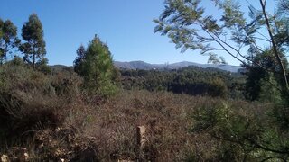 Terreno em Arganil