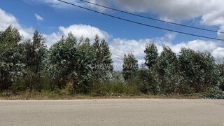 Land for sale in Águeda, Portugal — €1,200,000