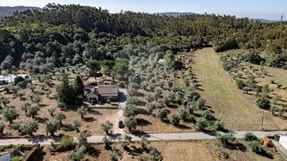 Terreno de 1240 m² em Coimbra